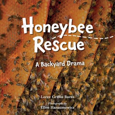 Honeybee rescue : a backyard drama by Burns, Loree Griffin