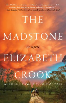 The madstone : a novel by Crook, Elizabeth, 1959